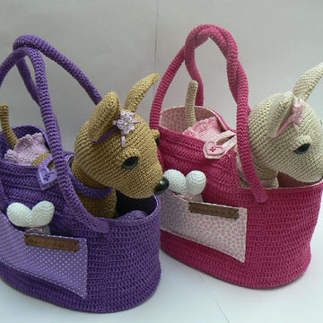 Chihuaua Ladies