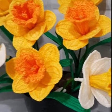 Crochet Daffodils flower