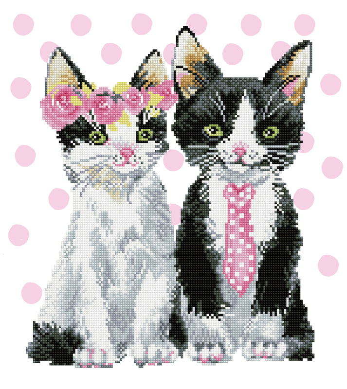 Diamond Dotz Mr & Mrs Pink Diamond Painting Kit