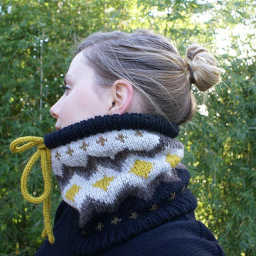 Bitterroot Cowl