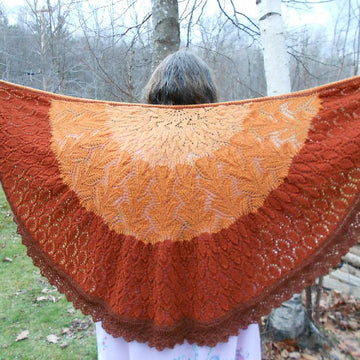 Pumpkin Pie (Pi) Shawl