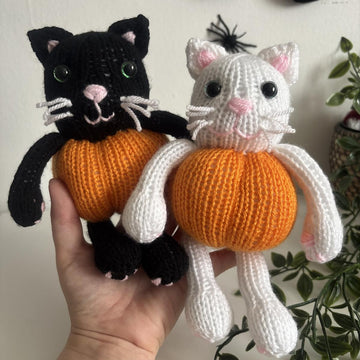 Pumpkin kitty