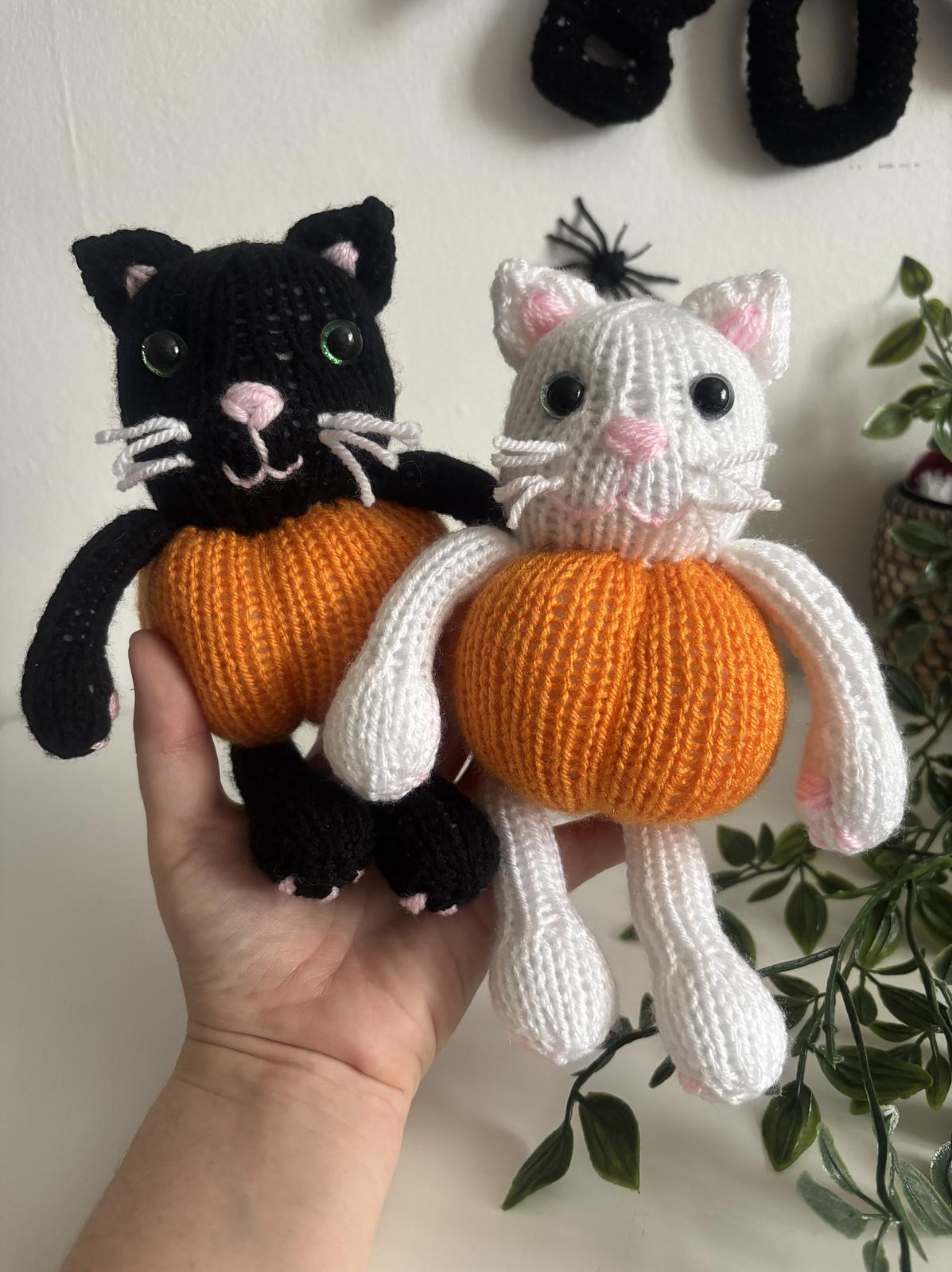 Pumpkin kitty