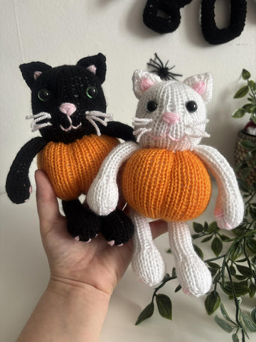 Pumpkin kitty