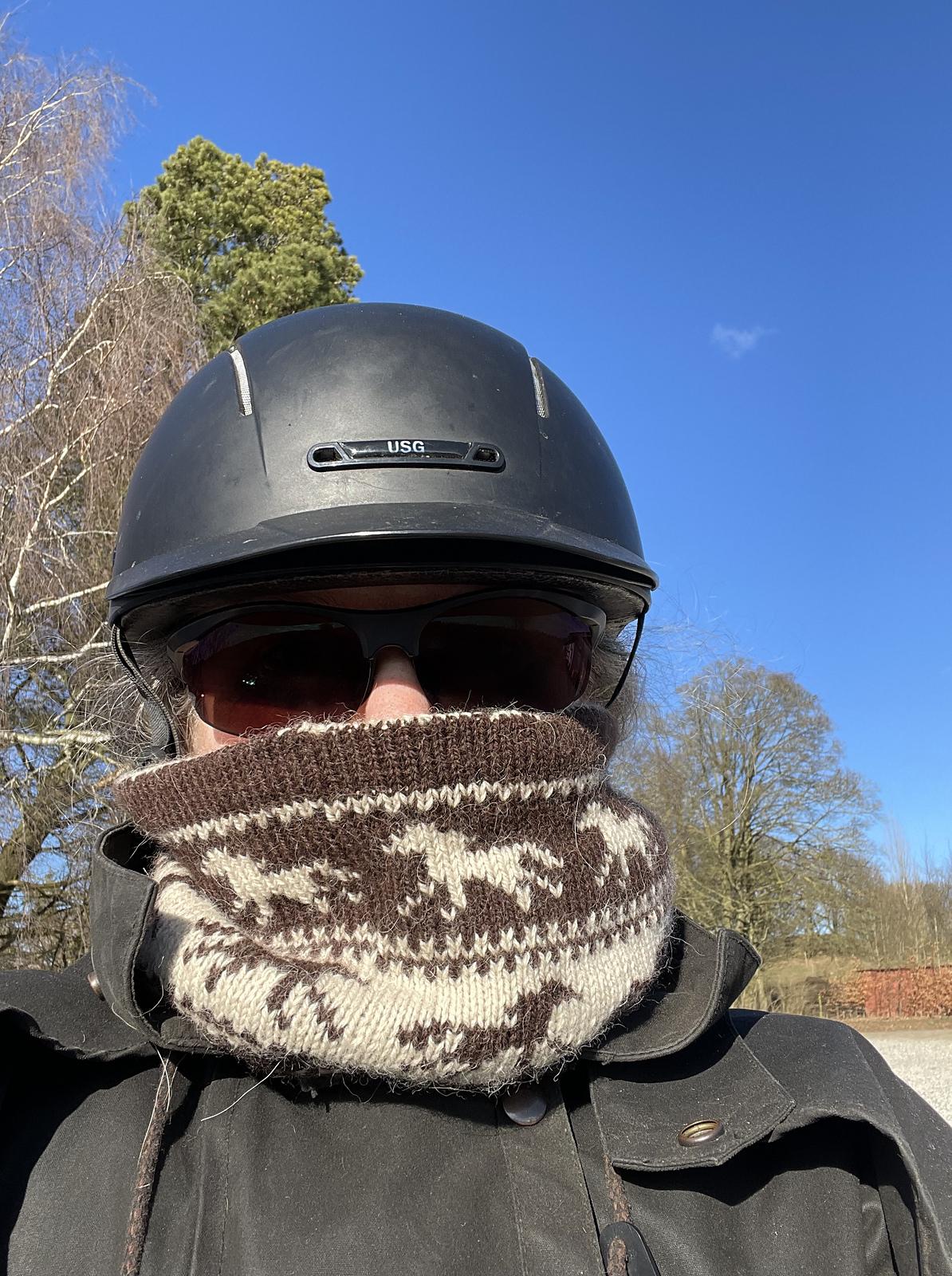 Running Horses Cowl