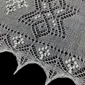 Icy Arctic Lace