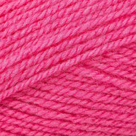 Raspberry (305)