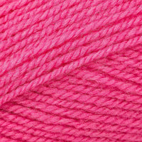 Raspberry (305)