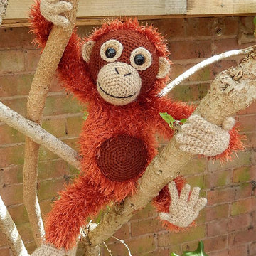 Orwell the Orangutan