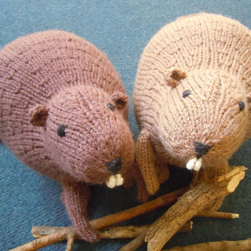 Liam's Beaver