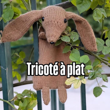 Archie le teckel