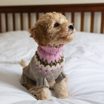 Happy Dog Sweater