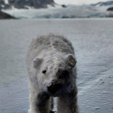 Polar bear