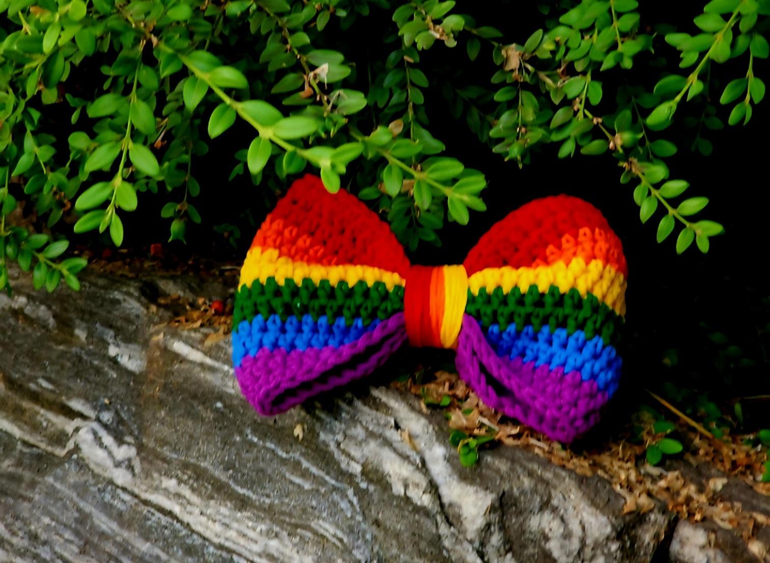 Pride Bows &Scrunchie Bundle