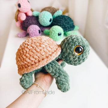 Tiana the Tiny Sea Turtle