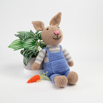 Bexley the Bunny Rabbit