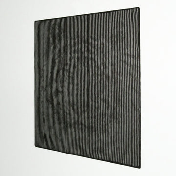 Tiger's Head Illusion