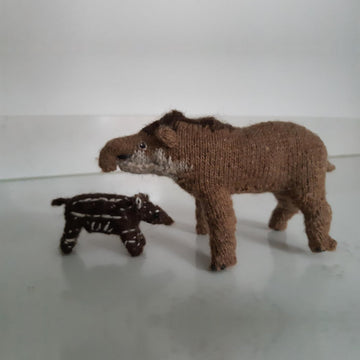 Tapir (and bonus baby)