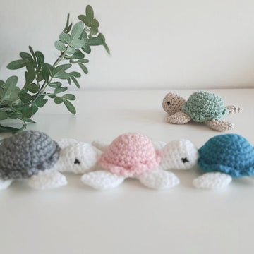 Cute Turtle