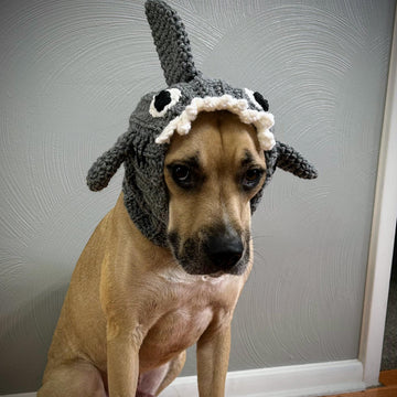 Shark Dog Snood