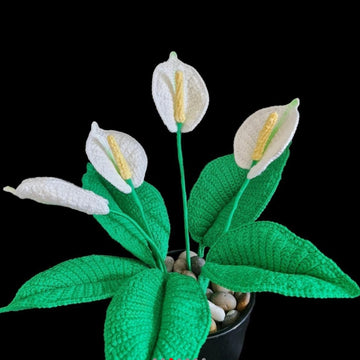 Crochet Peace Lily flowers