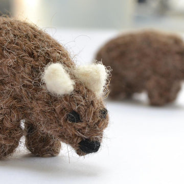 Australian Animals