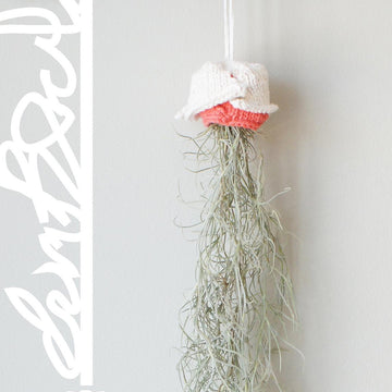 Origami Rose Air Planter (2015011)