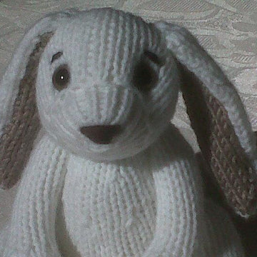 Pocket Bunny