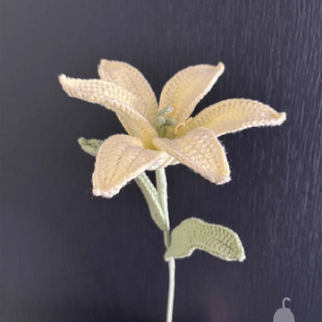 Lily
