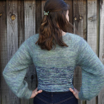 Dragonfly Jumper