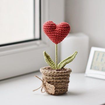 Valentine’s Day Heart Plant