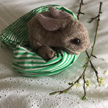 Baby bunny
