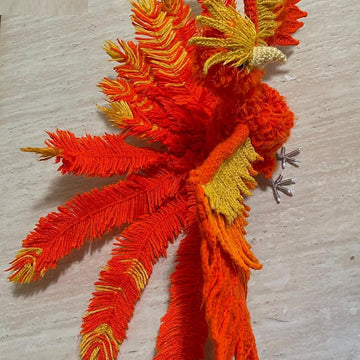 Adult phoenix