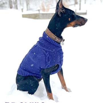 Gentleman's Dog Sweater