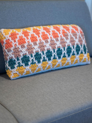 Mosaic Crochet Pillow Cover