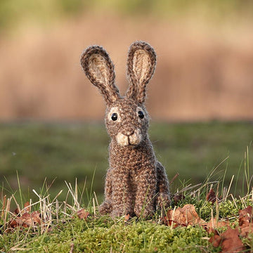 Hazy the hare