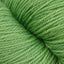 Lawn (22)