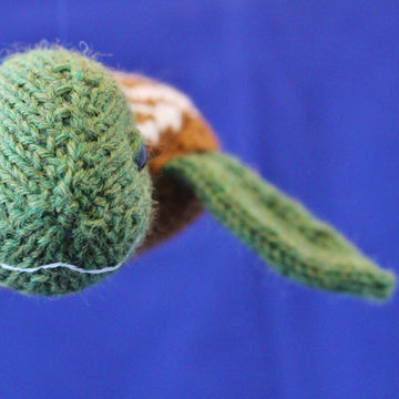 Sea Turtle