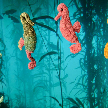 Seahorse