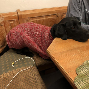 Murphy's Jumper