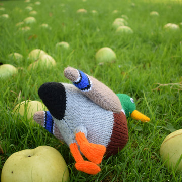 Malcolm the Mallard