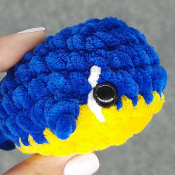 Whale worry pet