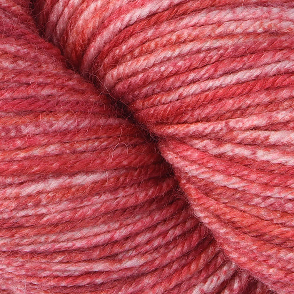 Cascade Yarns 220 Superwash Effects