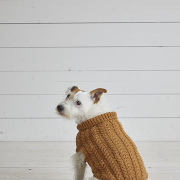 Karoo Tank Top & Dog Coat