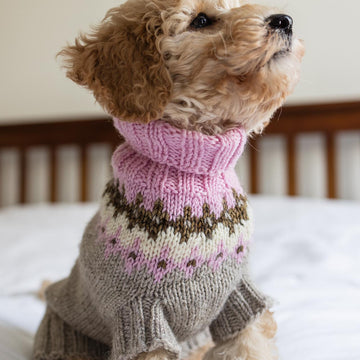 Happy Dog Sweater