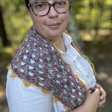 Blustery Day Shawlette
