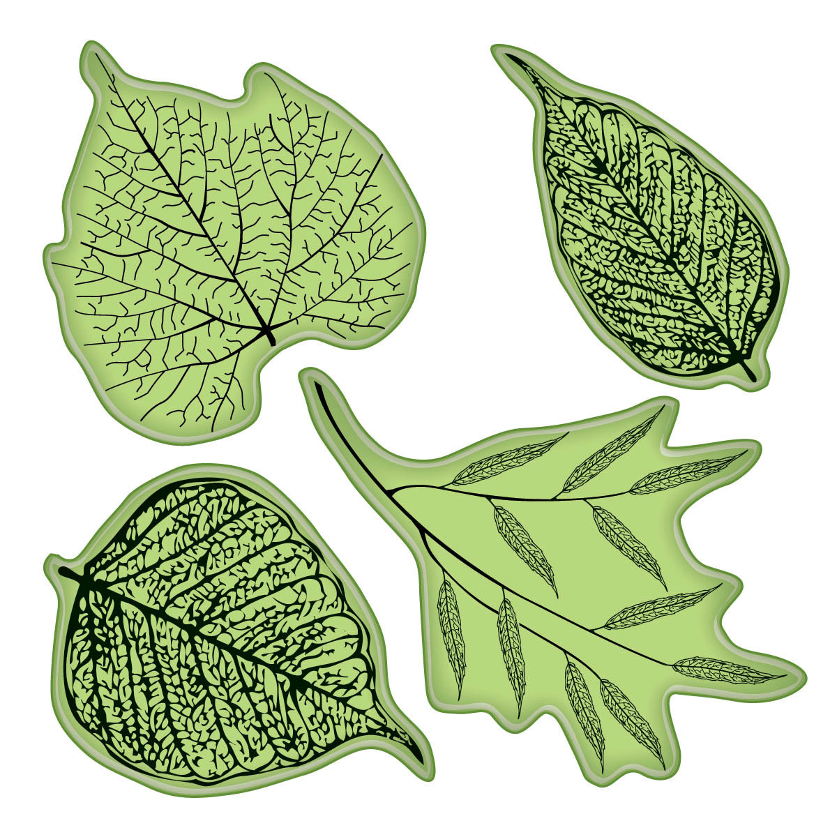 Inkadinkado Stamping Gear 4"X4" - Fossil Leaves