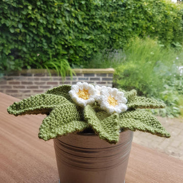 Knitted Primrose - PDF Primrose Knitting Pattern