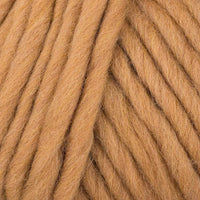 Camel (0081)