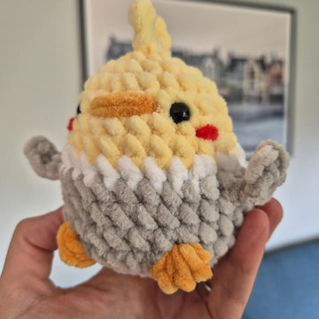 Chubby Cockatiel Bird